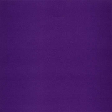 Arctic Frog - Bikini Purple 12x12 cardstock (pack of 10)